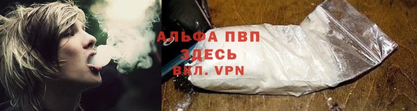 гидра Краснослободск
