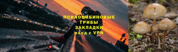 бошки Краснотурьинск