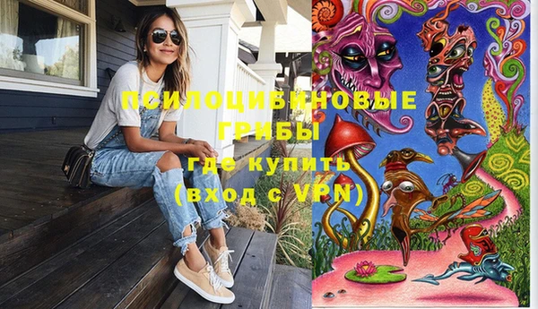 тгк Ладушкин